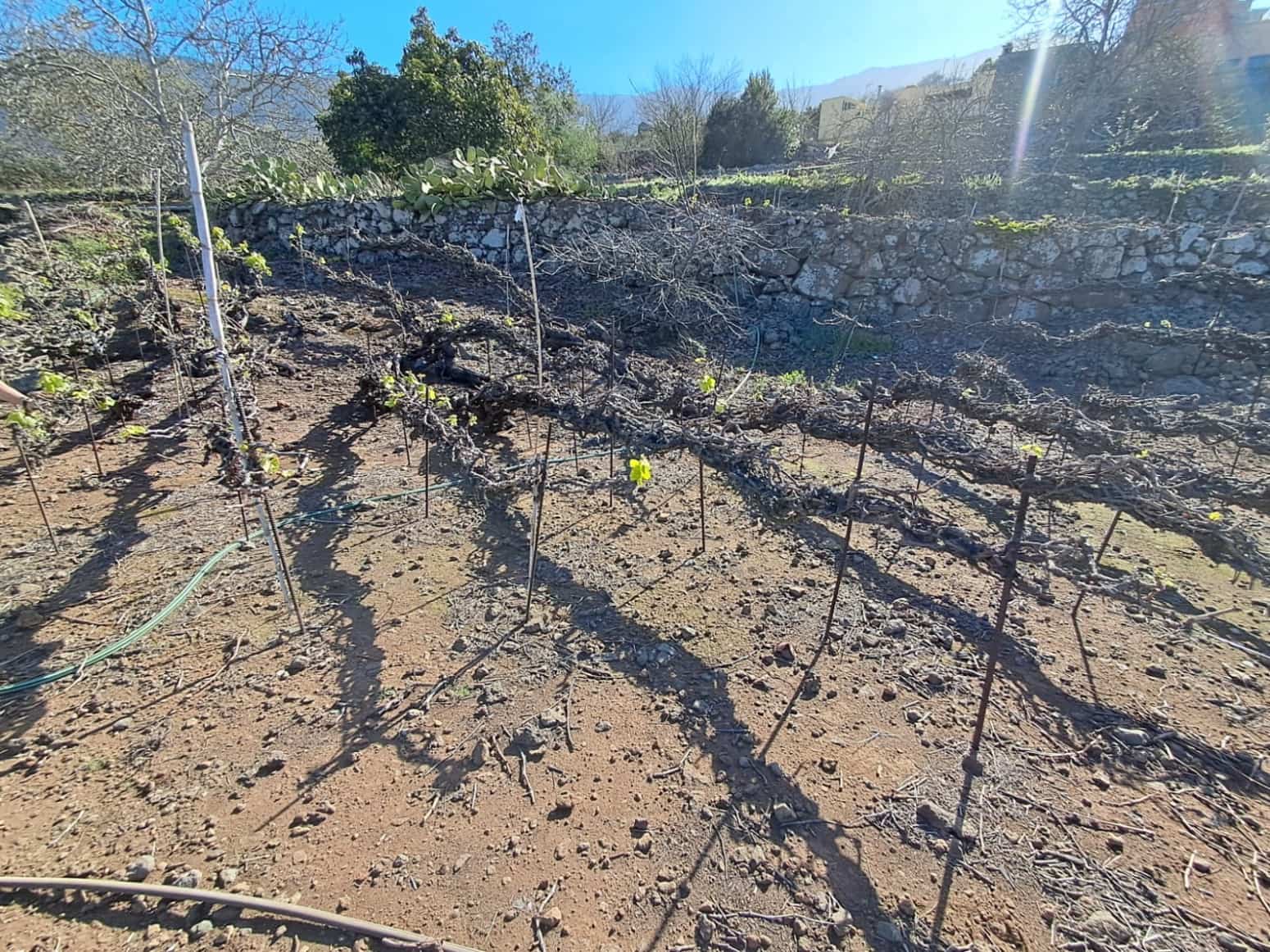 4 soveværelse Villa til salg i La Orotava med garage - € 299.000 (Ref: 8820585)