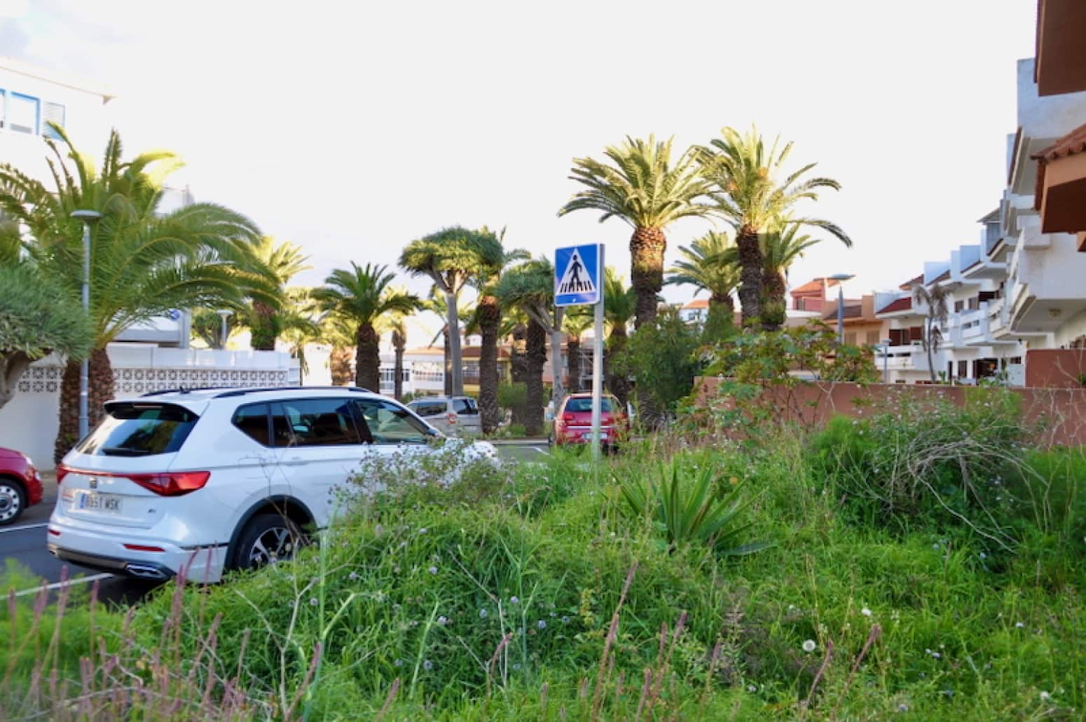 Terreno para Construção para venda em San Cristobal de La Laguna - 145 000 € (Ref: 8981056)