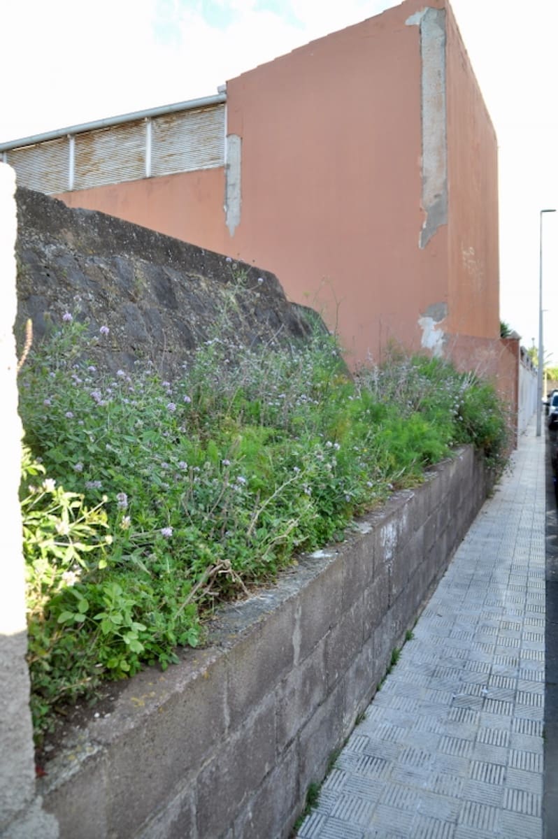 Terreno para Construção para venda em San Cristobal de La Laguna - 145 000 € (Ref: 8981056)