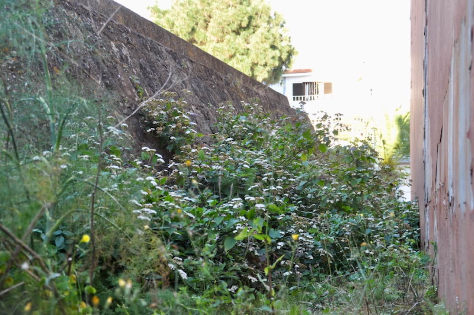 Terreno para Construção para venda em San Cristobal de La Laguna - 145 000 € (Ref: 8981056)