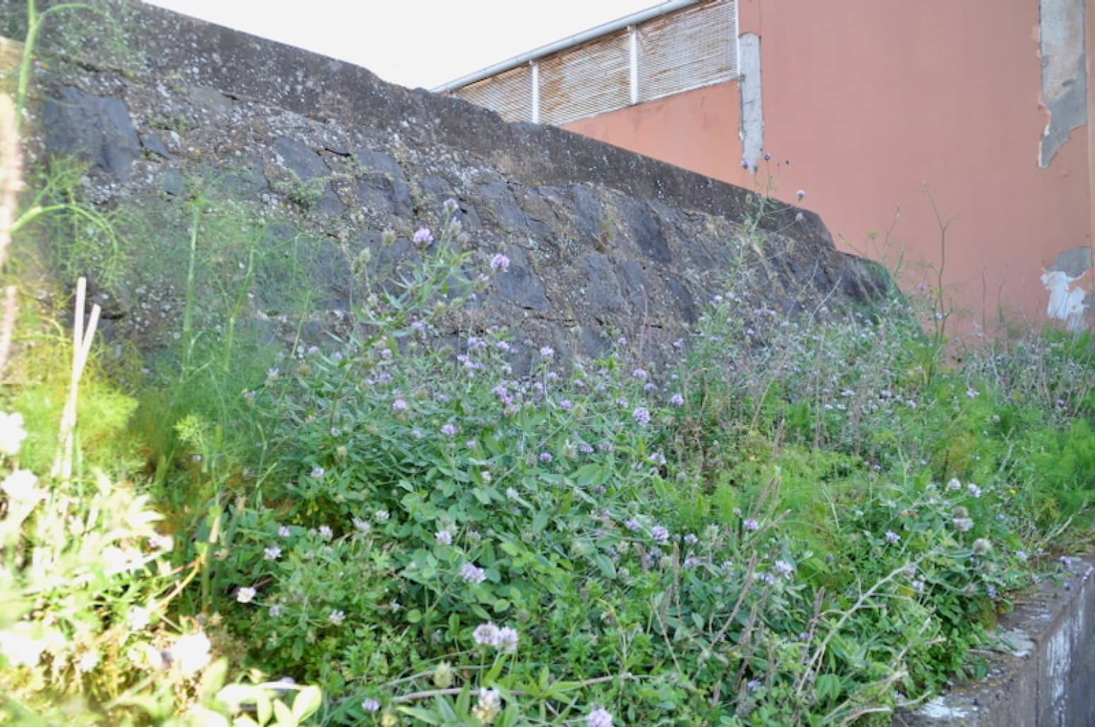 Terreno para Construção para venda em San Cristobal de La Laguna - 145 000 € (Ref: 8981056)