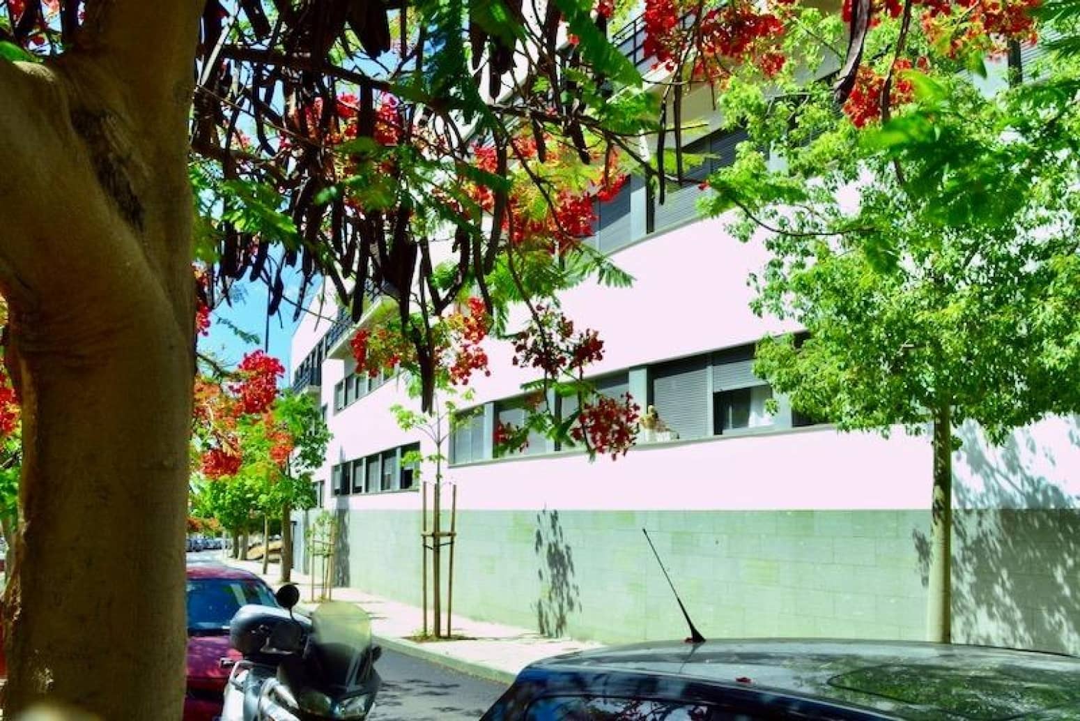 2 bedroom Flat for rent in Santa Cruz de Tenerife with garage - € 900 (Ref: 9408266)