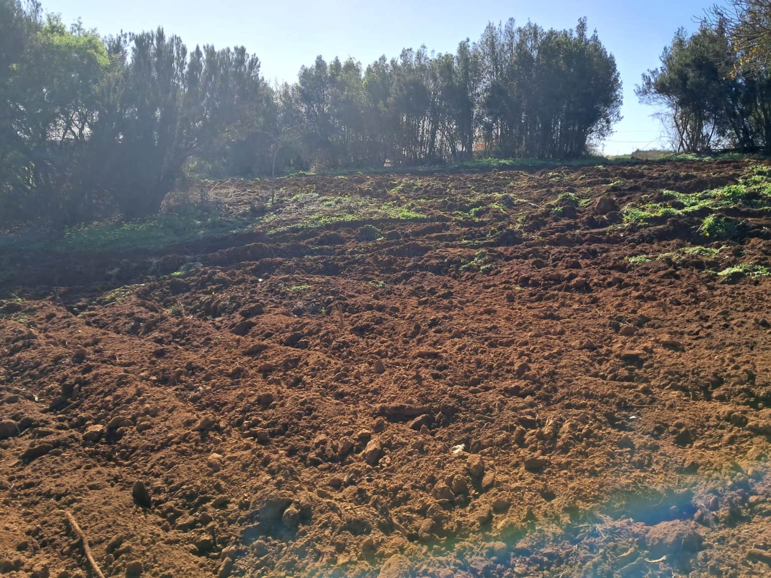 Bouwgrond te koop in El Rosario - € 295.000 (Ref: 9525767)