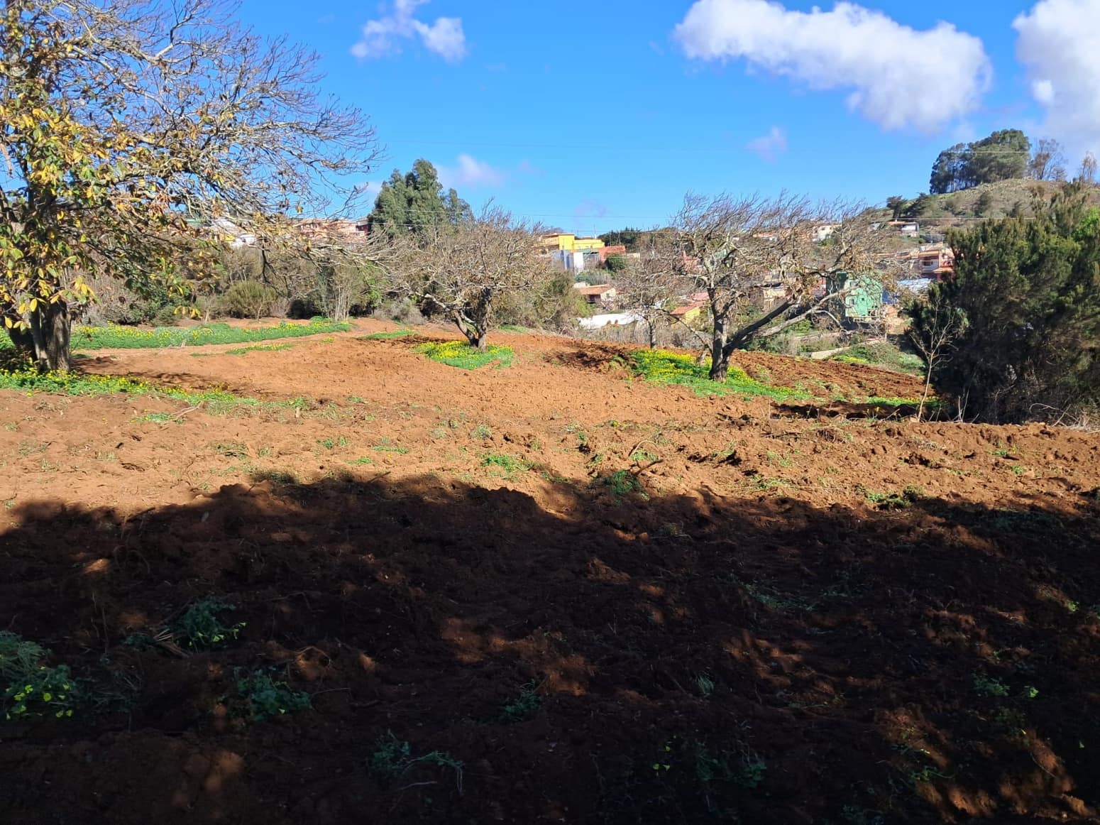 Bouwgrond te koop in El Rosario - € 295.000 (Ref: 9525767)