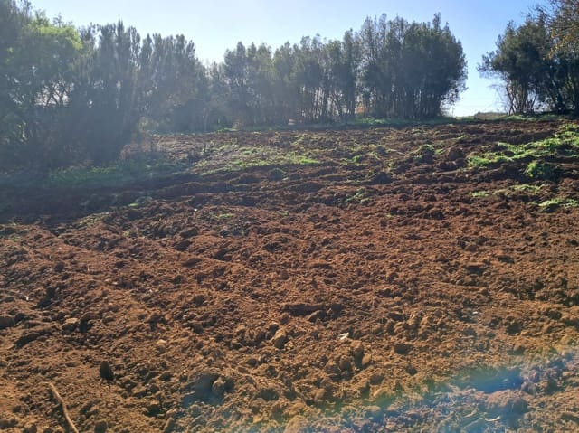 Bouwgrond te koop in El Rosario - € 295.000 (Ref: 9525767)