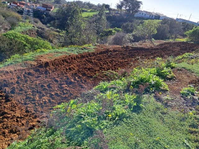 Bouwgrond te koop in El Rosario - € 295.000 (Ref: 9525767)