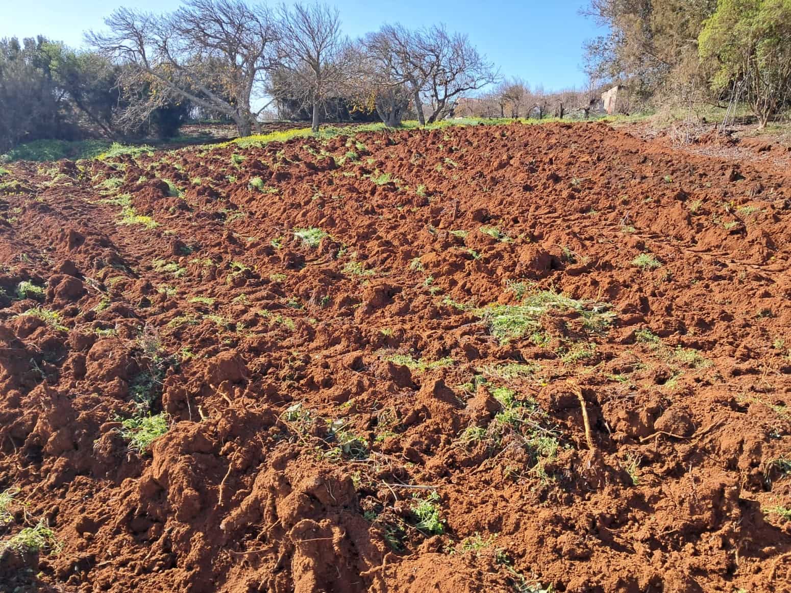 Bouwgrond te koop in El Rosario - € 295.000 (Ref: 9525767)