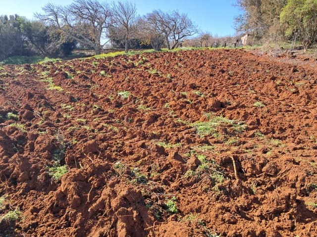 Bouwgrond te koop in El Rosario - € 295.000 (Ref: 9525767)