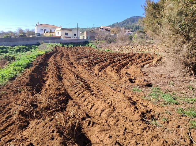 Bouwgrond te koop in El Rosario - € 295.000 (Ref: 9525767)