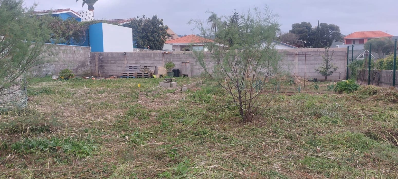 Solar/Parcela en Tegueste en venta - 130.000 € (Ref: 9977893)