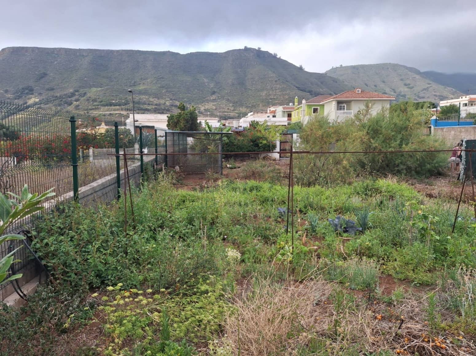 Solar/Parcela en Tegueste en venta - 130.000 € (Ref: 9977893)
