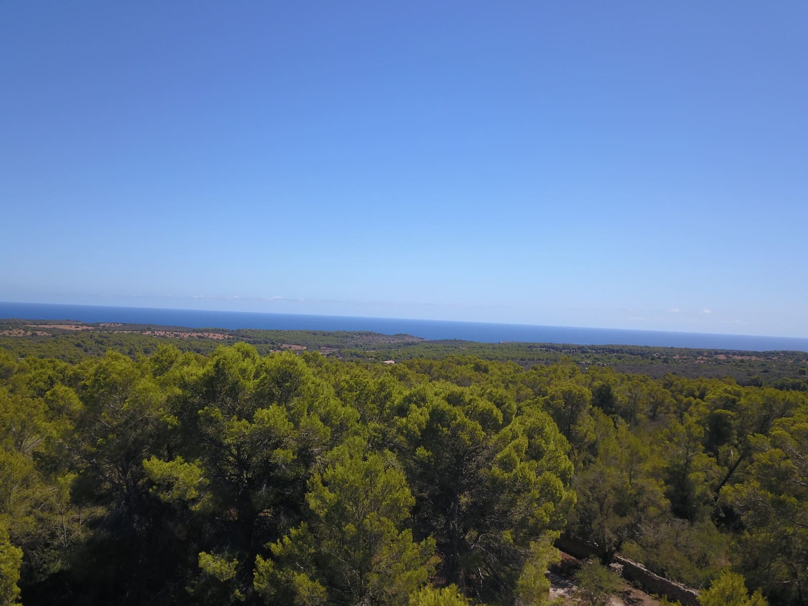 Terre non Aménagée à vendre à Manacor - 1 075 000 € (Ref: 10042162)