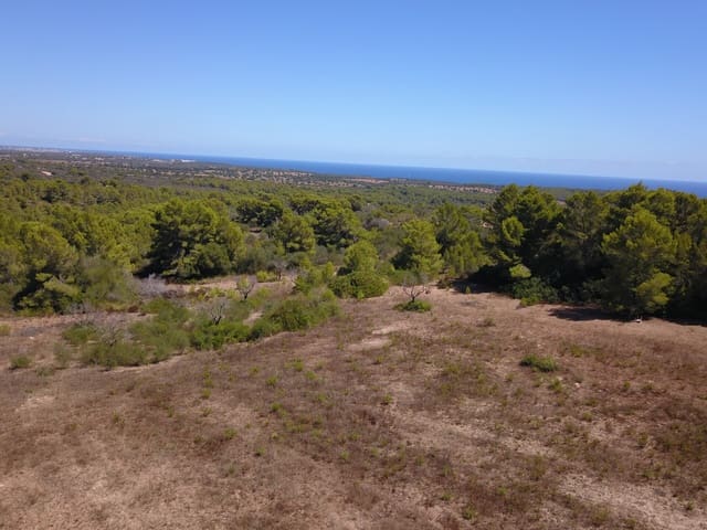 Grunde uden byggetilladelser til salg i Manacor - € 1.075.000 (Ref: 10042162)
