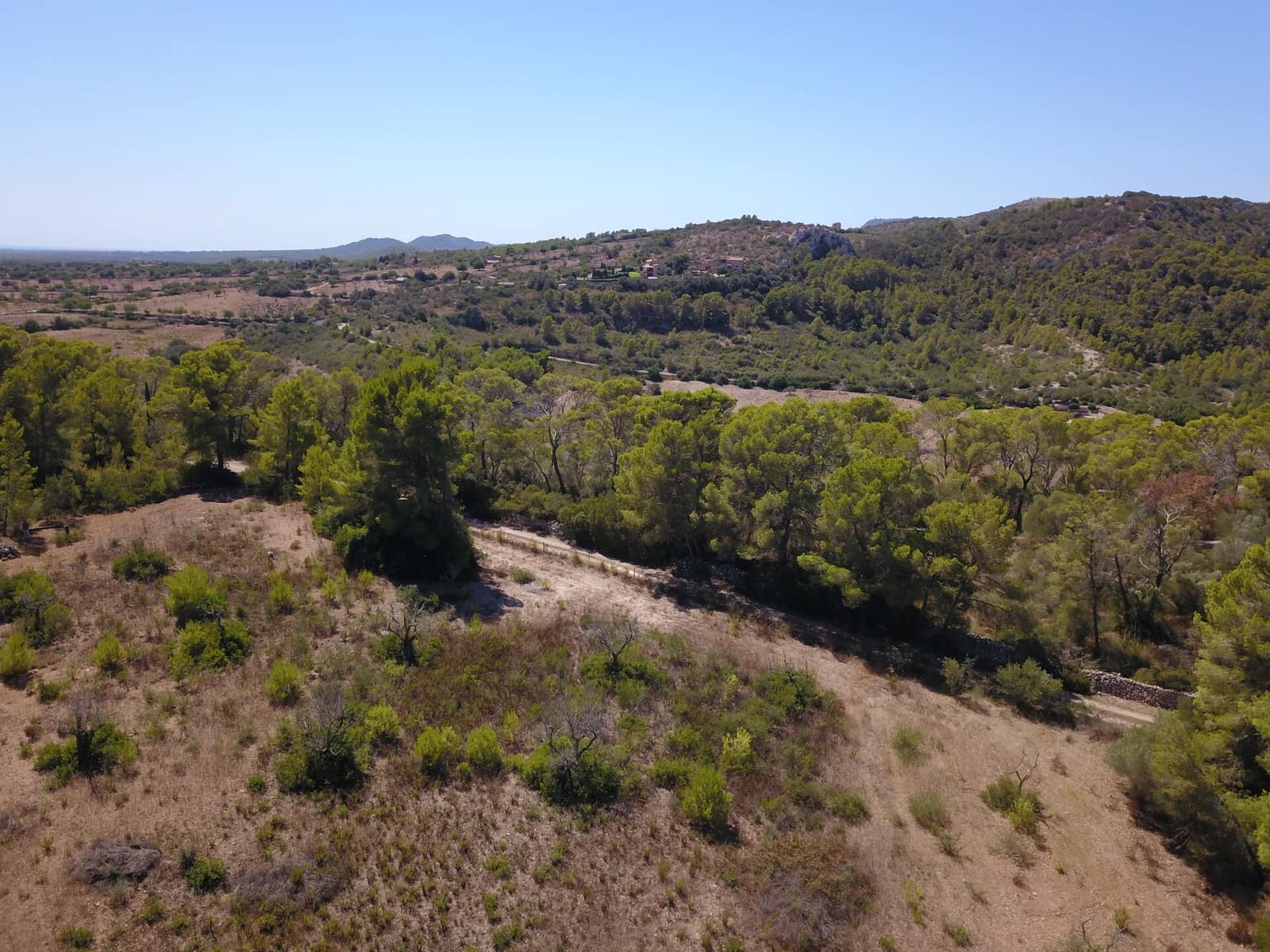Terre non Aménagée à vendre à Manacor - 1 075 000 € (Ref: 10042162)