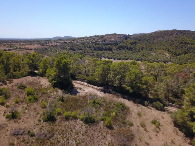 Grunde uden byggetilladelser til salg i Manacor - € 1.075.000 (Ref: 10042162)