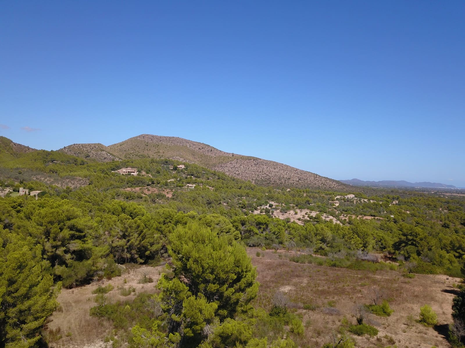 Terre non Aménagée à vendre à Manacor - 1 075 000 € (Ref: 10042162)