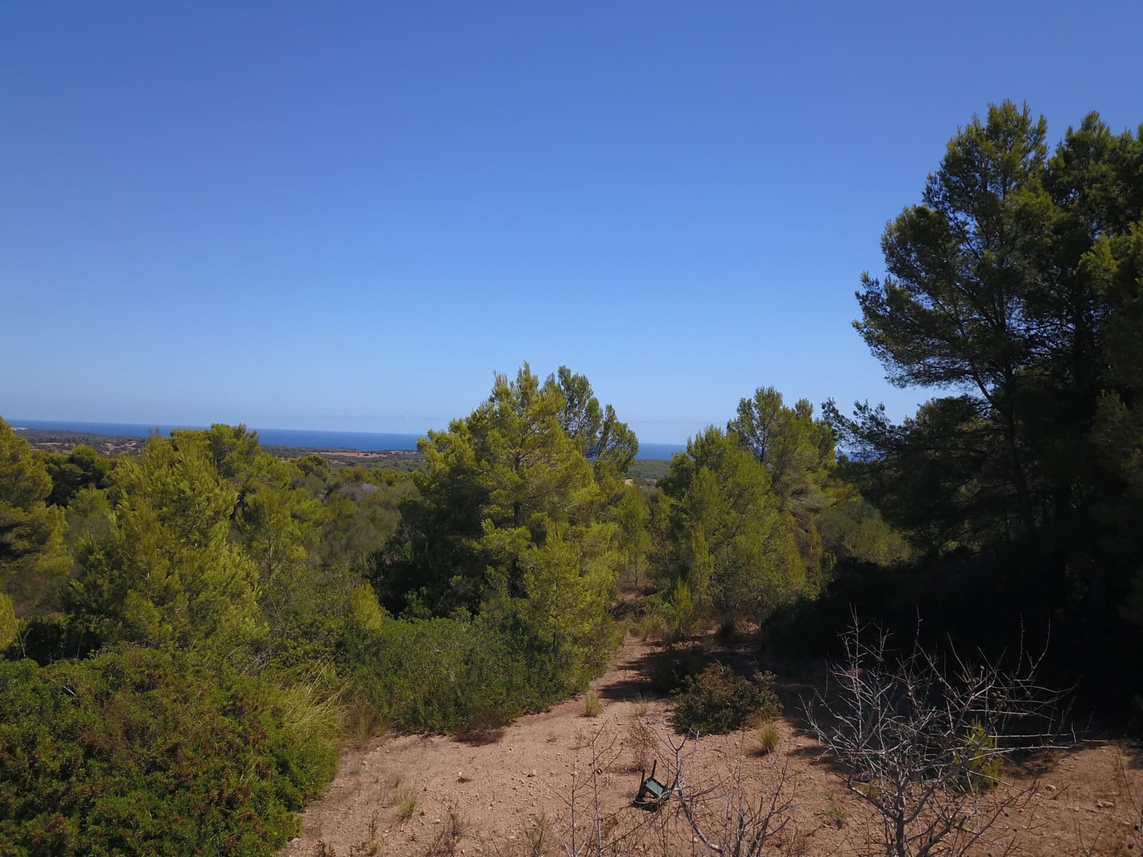 Terre non Aménagée à vendre à Manacor - 1 075 000 € (Ref: 10042162)