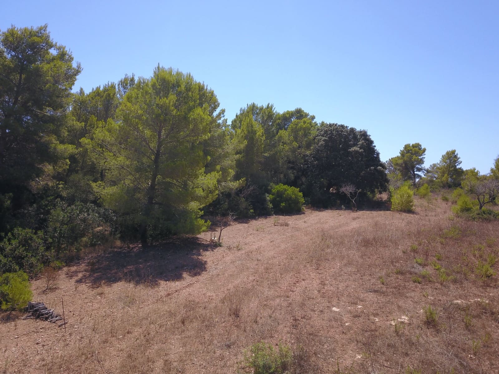 Terre non Aménagée à vendre à Manacor - 1 075 000 € (Ref: 10042162)