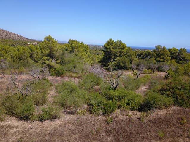 Grunde uden byggetilladelser til salg i Manacor - € 1.075.000 (Ref: 10042162)