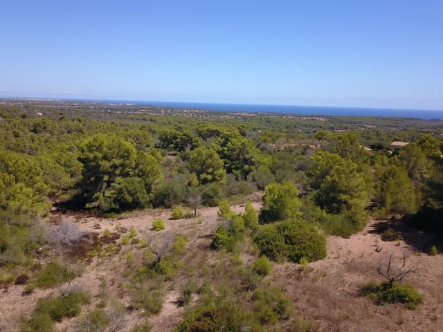 Grunde uden byggetilladelser til salg i Manacor - € 1.075.000 (Ref: 10042162)
