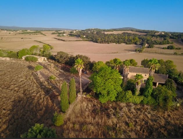 2 bedroom Finca/Country House for sale in Manacor - € 425,000 (Ref: 10048397)