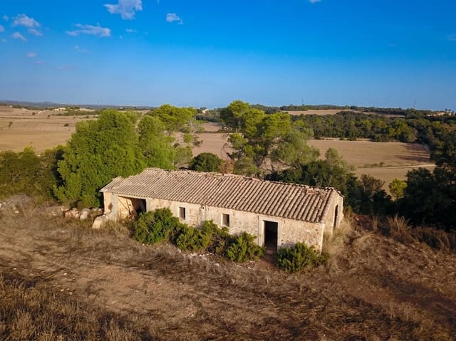 2 bedroom Finca/Country House for sale in Manacor - € 425,000 (Ref: 10048397)