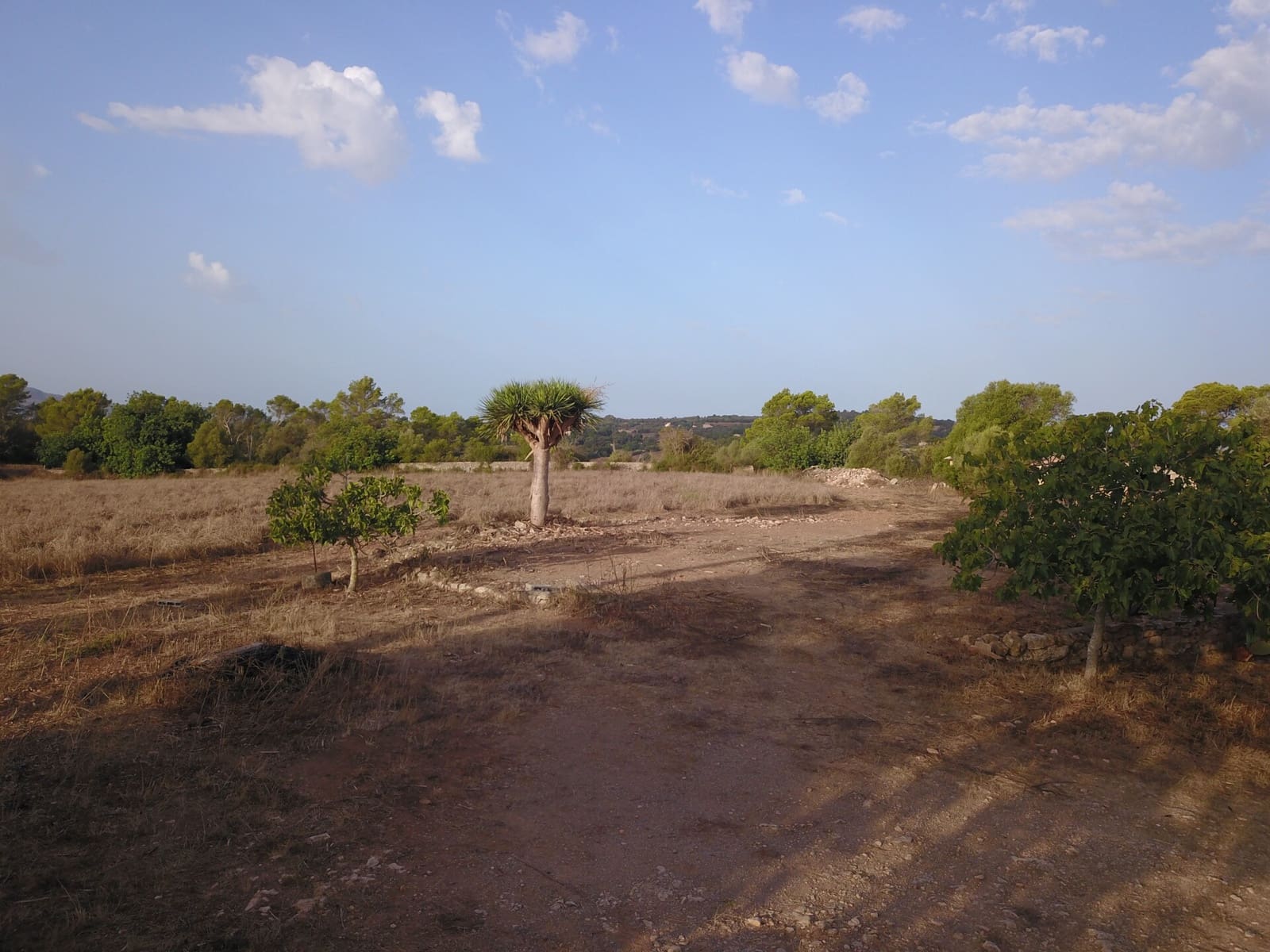 2 bedroom Finca/Country House for sale in Manacor - € 425,000 (Ref: 10048397)