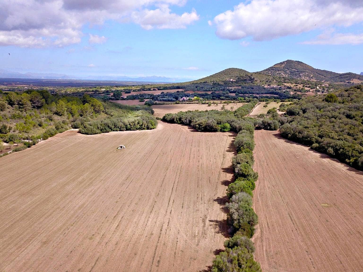 5 bedroom Finca/Country House for sale in Manacor - € 3,800,000 (Ref: 10130529)