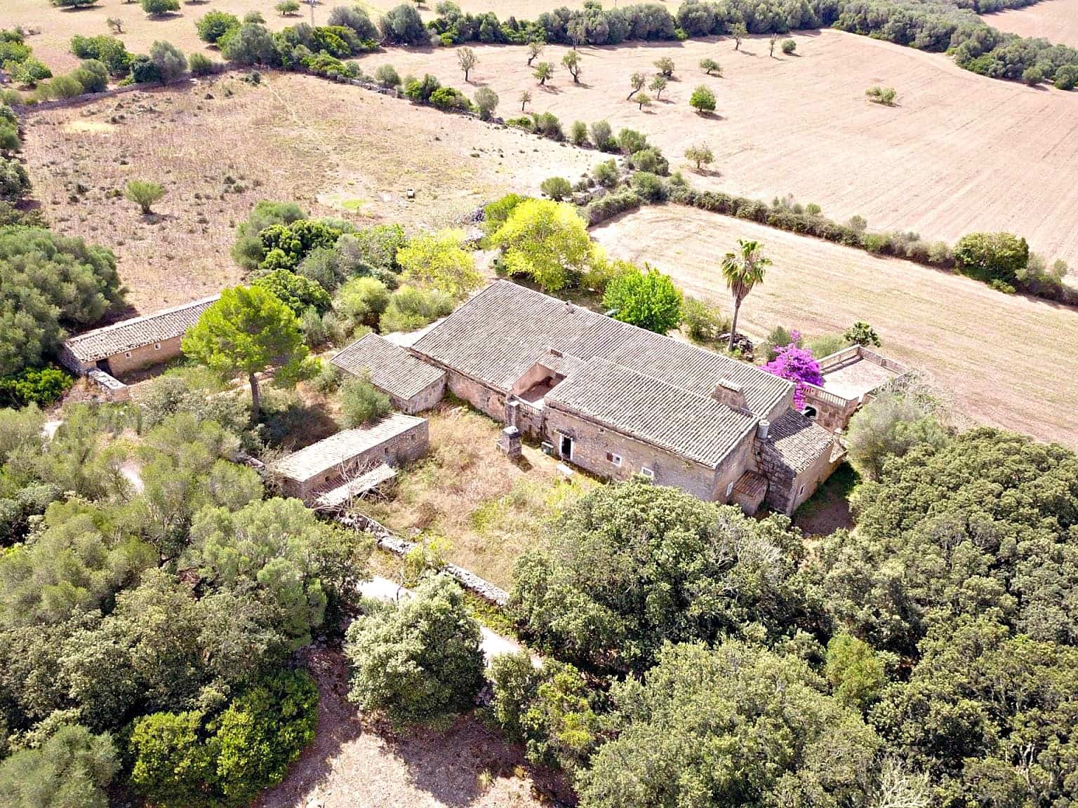 5 bedroom Finca/Country House for sale in Manacor - € 3,800,000 (Ref: 10130529)
