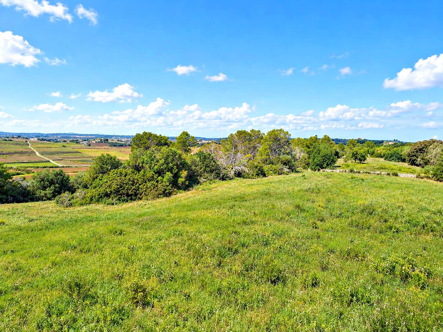 Byggegrund til salg i Manacor - € 275.000 (Ref: 10160437)
