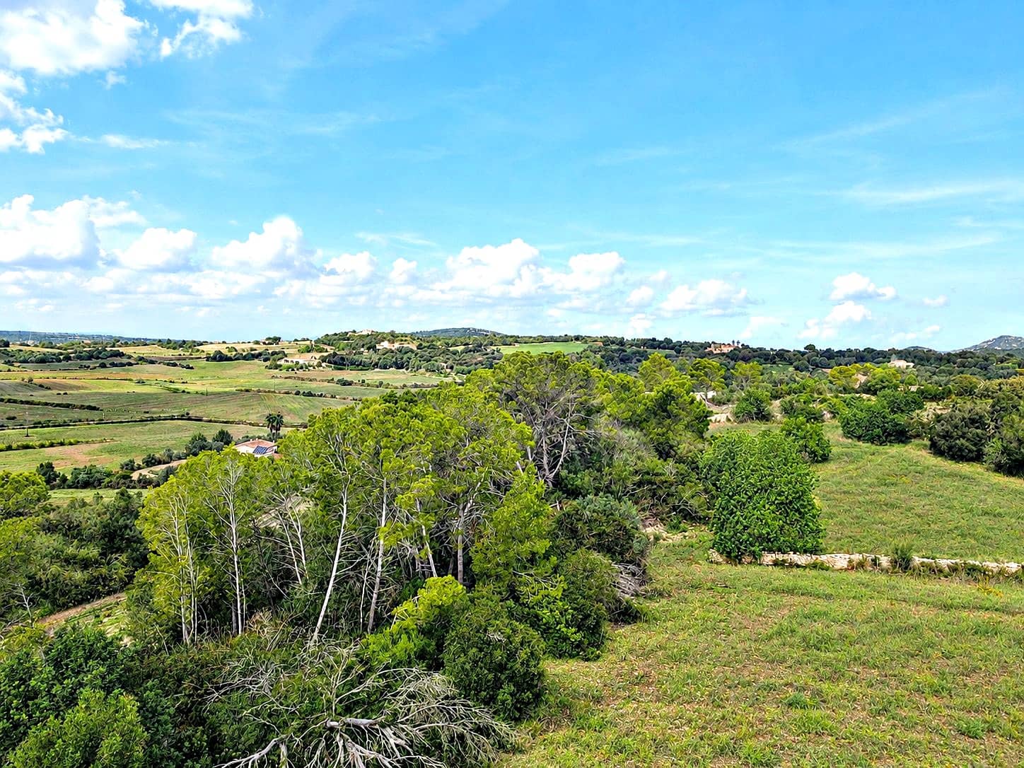 Byggegrund til salg i Manacor - € 275.000 (Ref: 10160437)