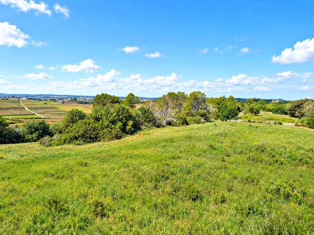 Byggegrund til salg i Manacor - € 275.000 (Ref: 10160437)