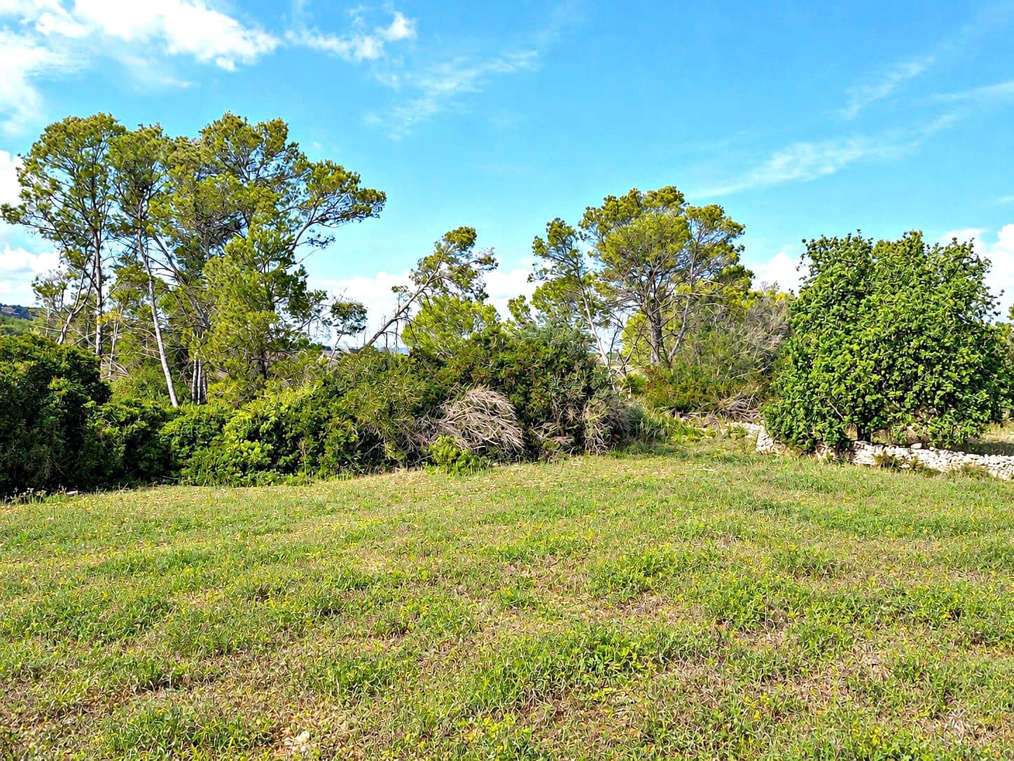 Byggegrund til salg i Manacor - € 275.000 (Ref: 10160437)
