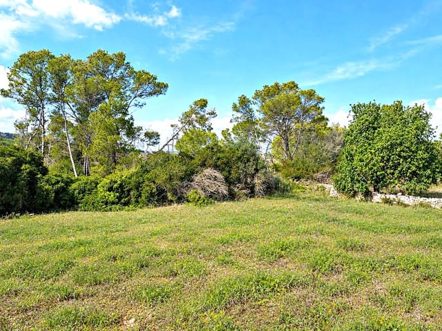 Byggegrund til salg i Manacor - € 275.000 (Ref: 10160437)