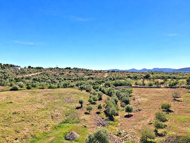 Terreno para Construção para venda em Portocristo / Port de Manacor, Manacor - 245 000 € (Ref: 10170148)