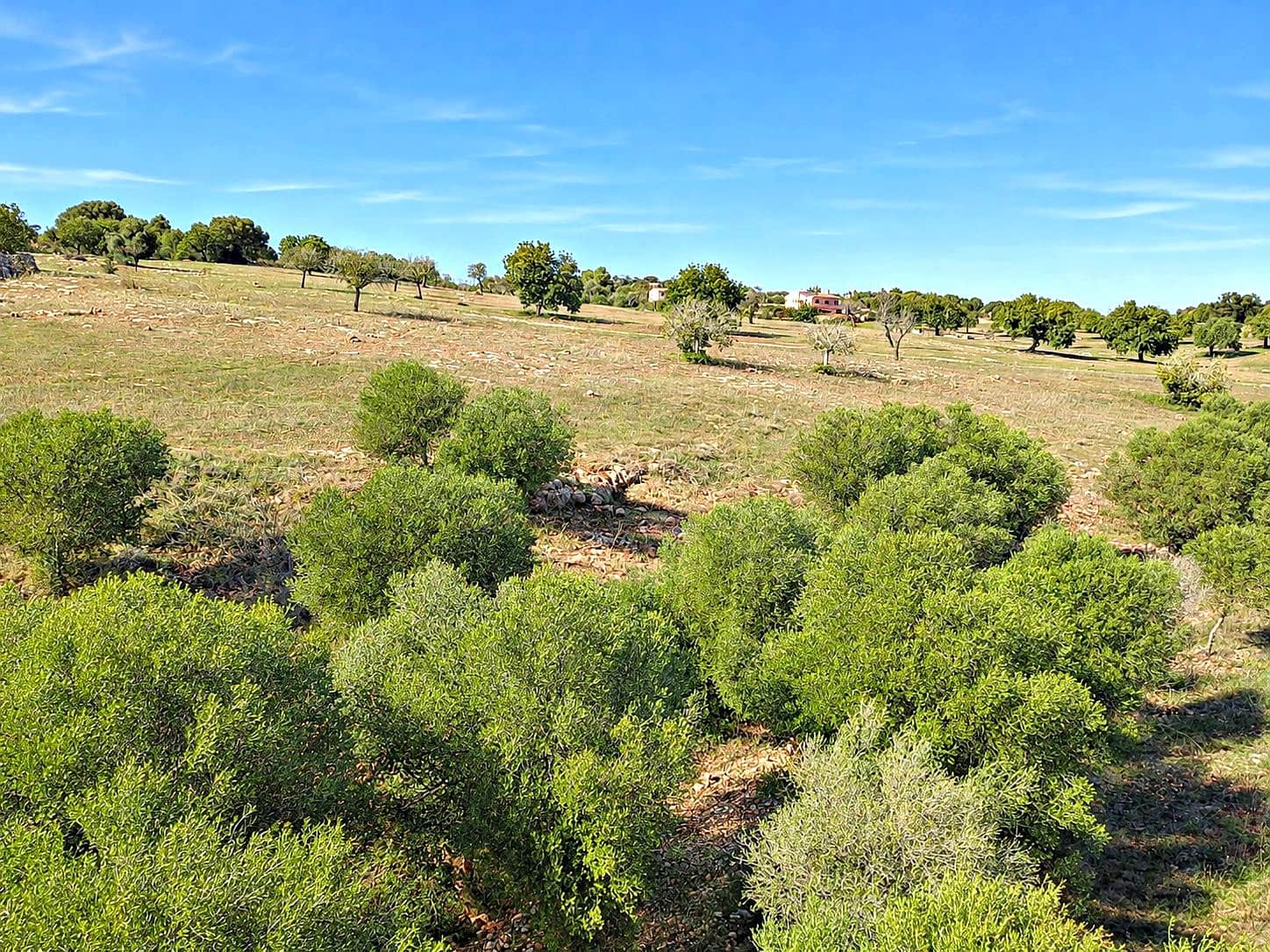 Terreno para Construção para venda em Portocristo / Port de Manacor - 245 000 € (Ref: 10170148)