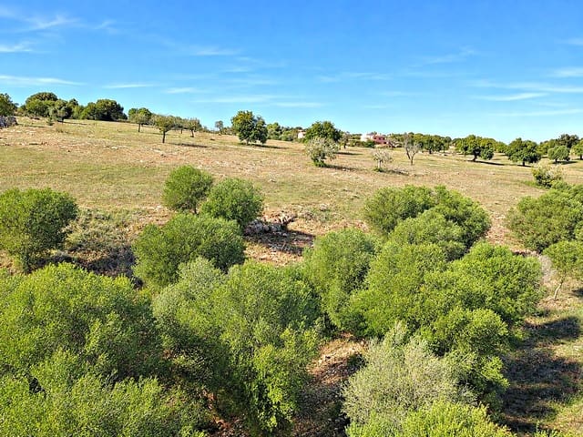 Terreno para Construção para venda em Portocristo / Port de Manacor, Manacor - 245 000 € (Ref: 10170148)