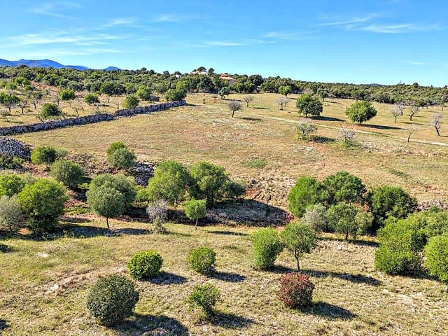 Terreno para Construção para venda em Portocristo / Port de Manacor, Manacor - 245 000 € (Ref: 10170148)