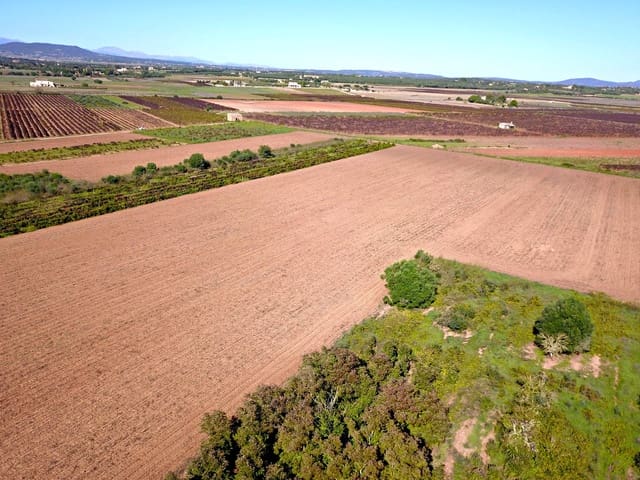 Bouwgrond te koop in Felanitx - € 280.000 (Ref: 10170296)