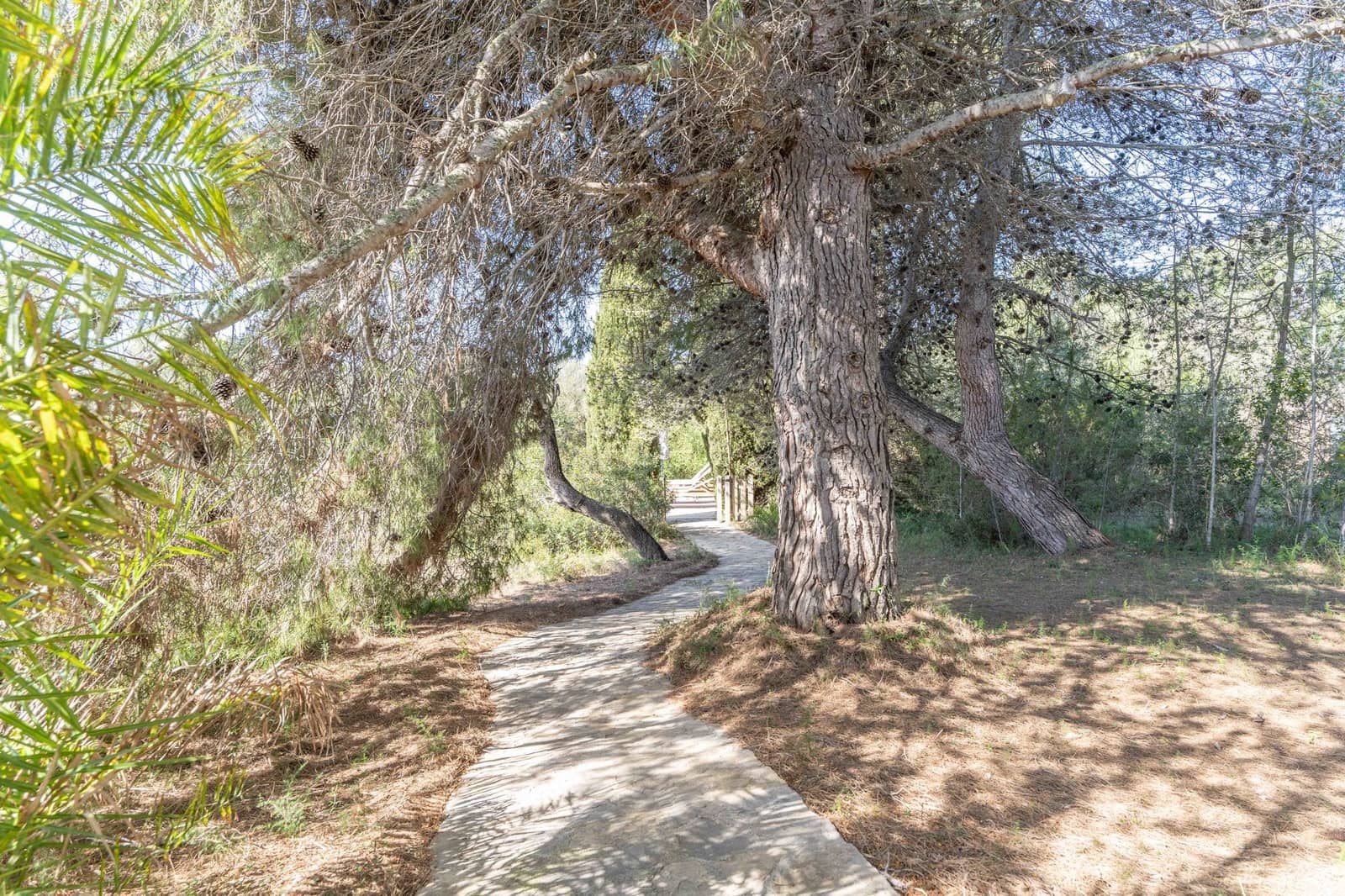 3 makuuhuone Maalaistalo myytävänä paikassa Son Servera mukana uima-altaan - 820 000 € (Ref: 9431637)