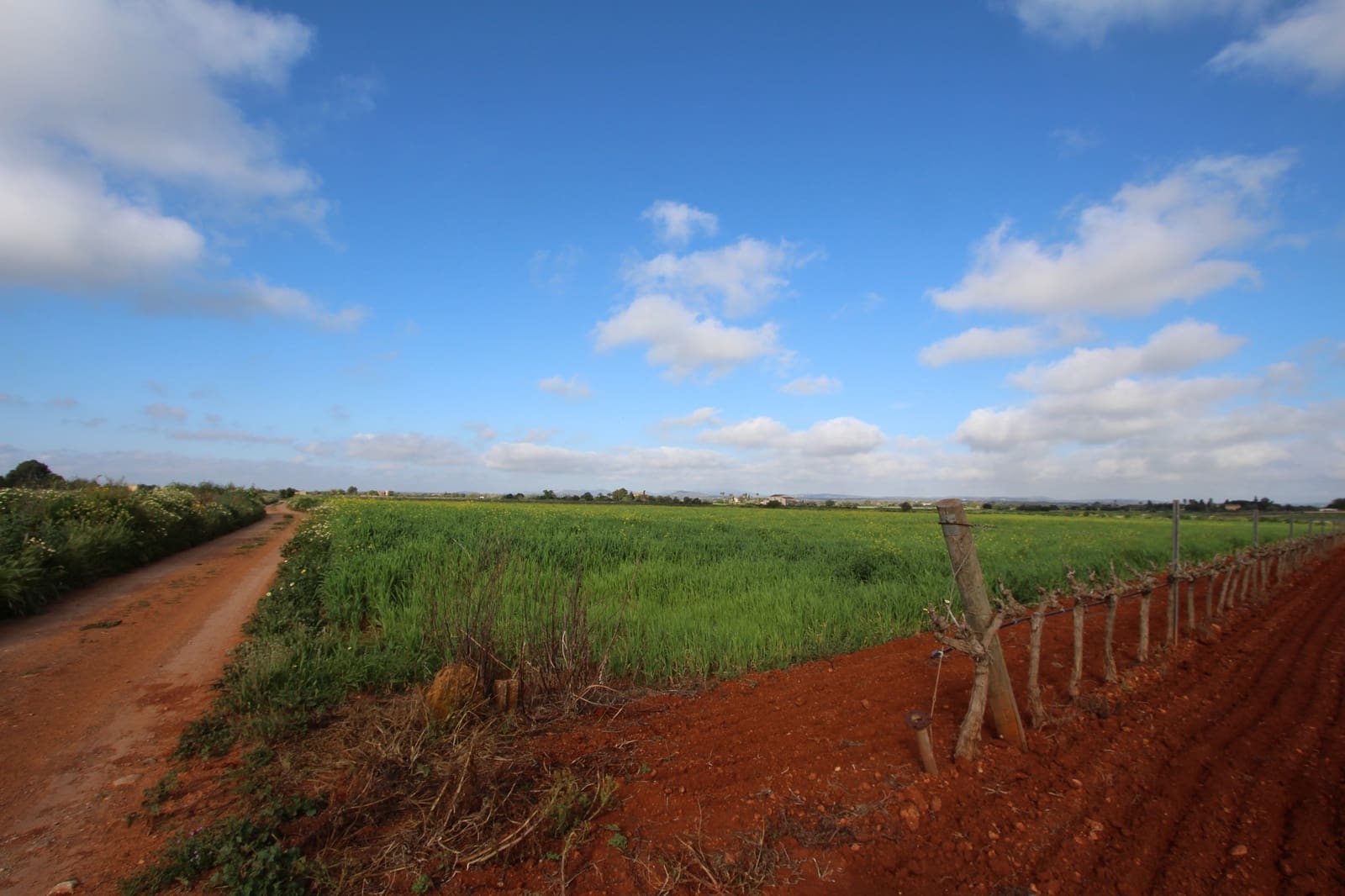 Grond te koop in Felanitx - € 265.000 (Ref: 9431639)