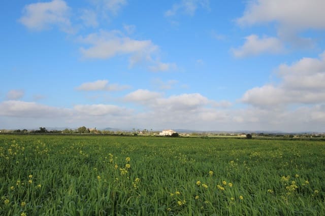 Grond te koop in Felanitx - € 265.000 (Ref: 9431639)