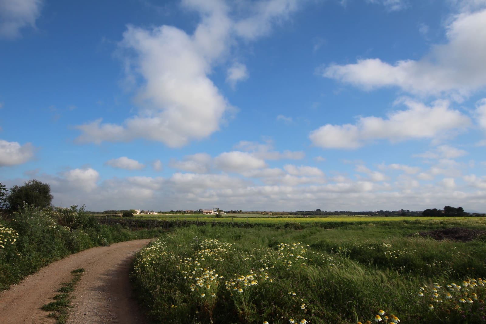 Grond te koop in Felanitx - € 265.000 (Ref: 9431639)