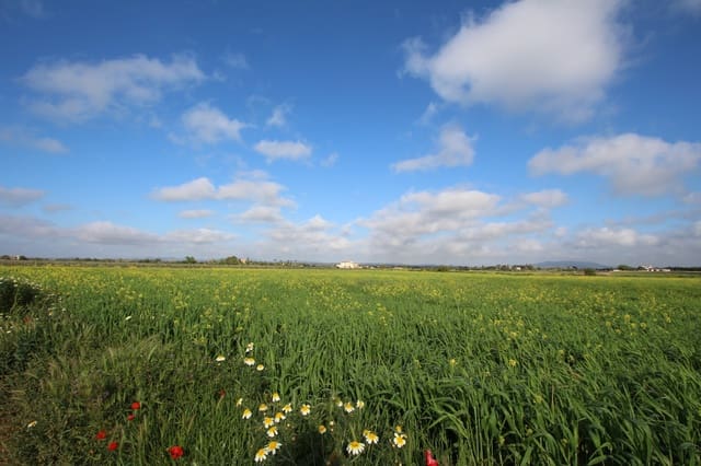 Grond te koop in Felanitx - € 265.000 (Ref: 9431639)