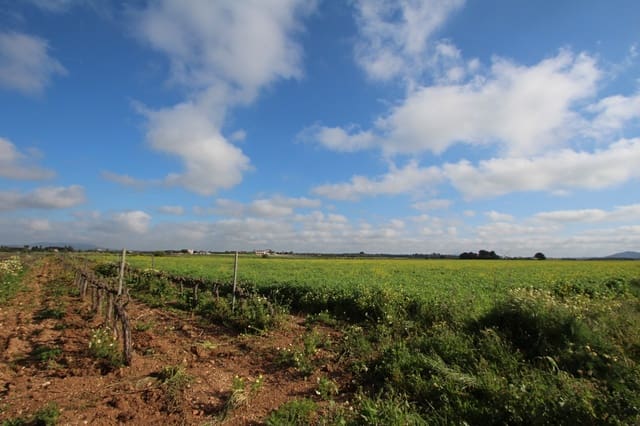 Grond te koop in Felanitx - € 265.000 (Ref: 9431639)