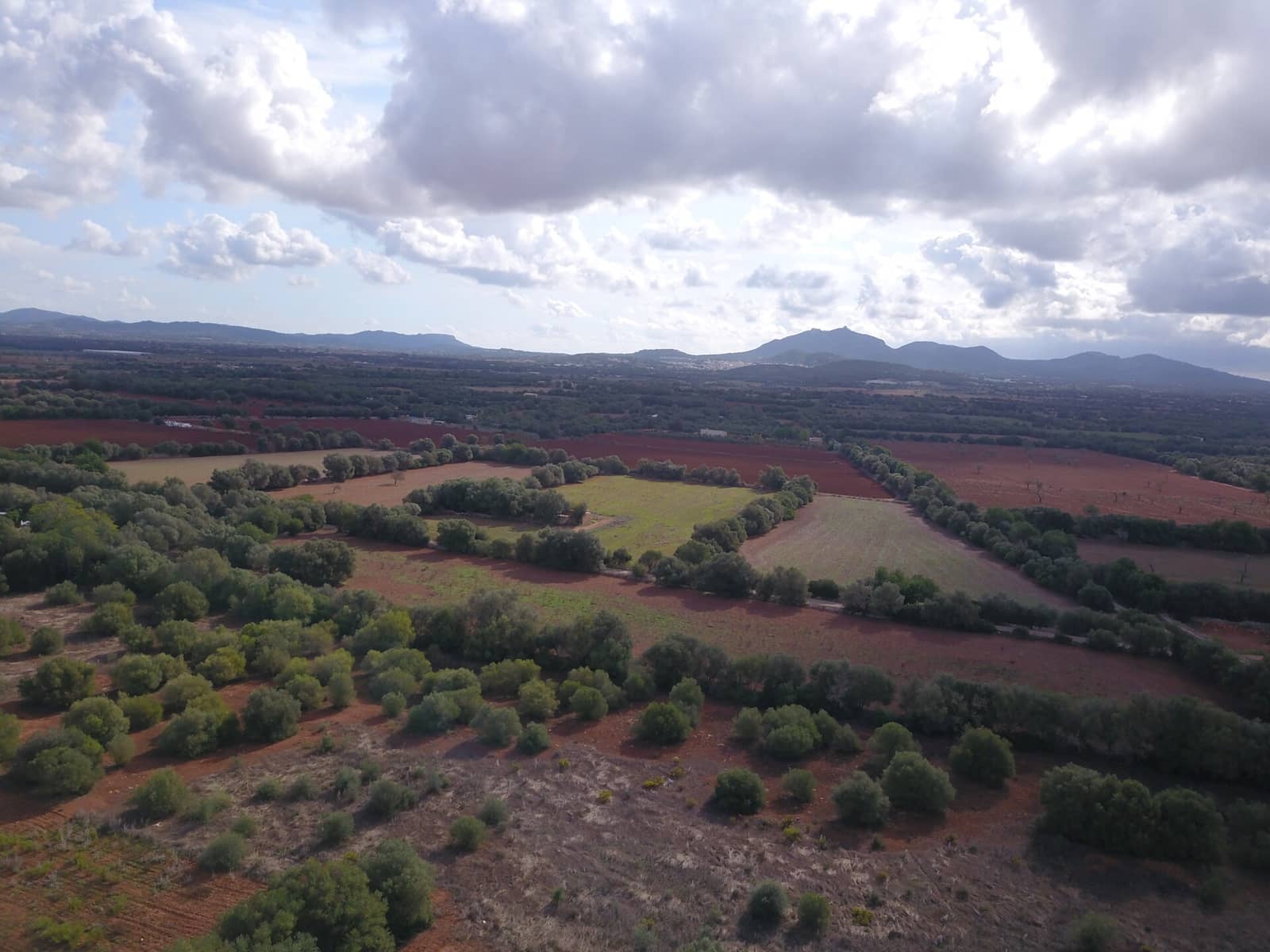 Undeveloped Land for sale in Felanitx - € 170,000 (Ref: 9431640)