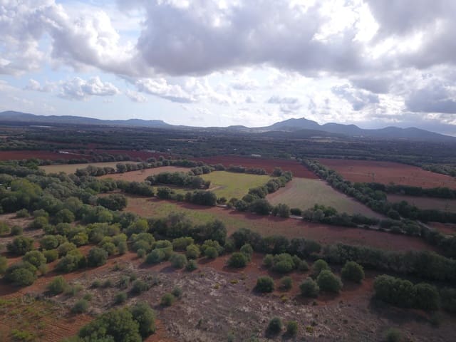 Undeveloped Land for sale in Felanitx - € 170,000 (Ref: 9431640)