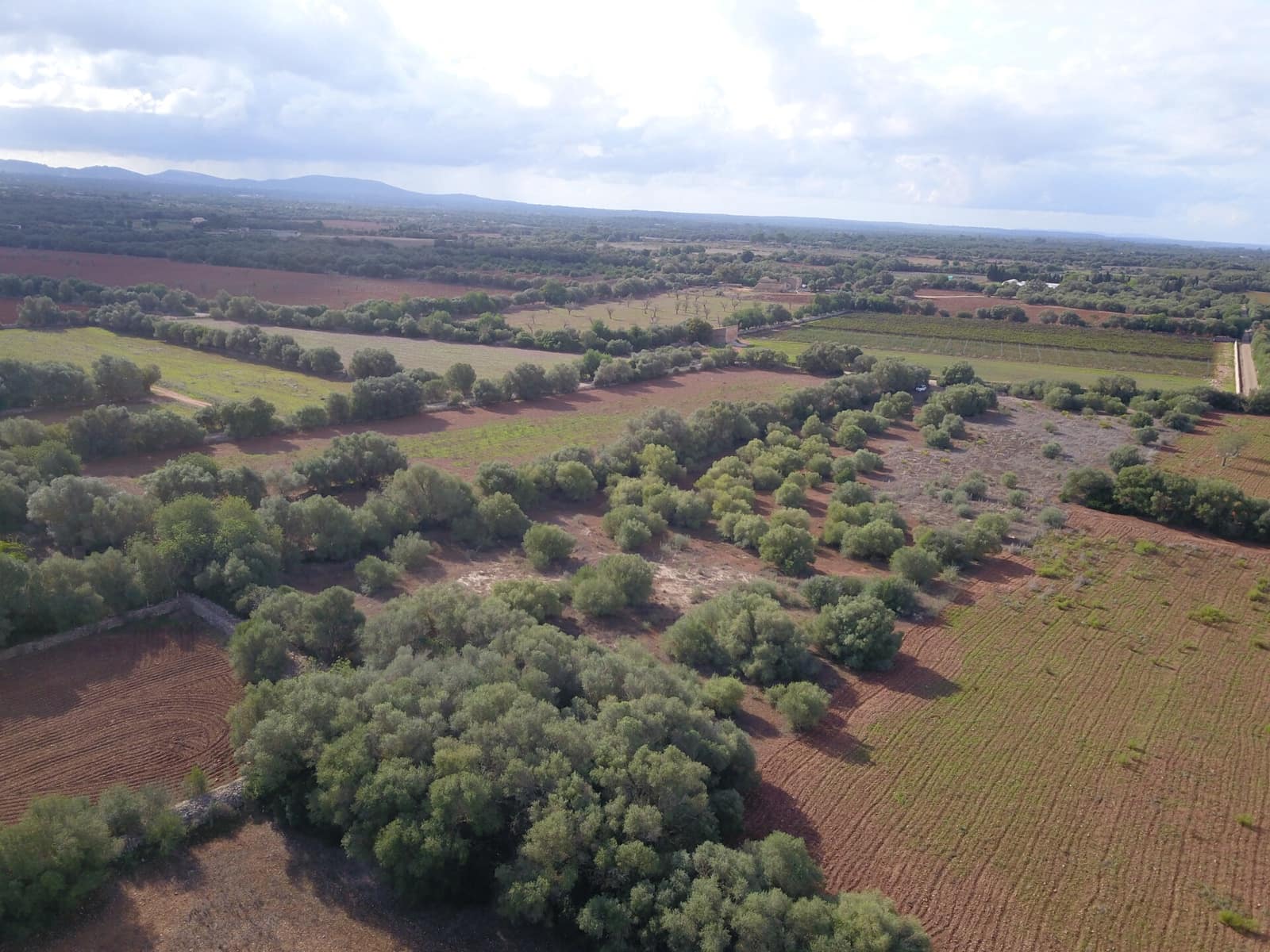Undeveloped Land for sale in Felanitx - € 170,000 (Ref: 9431640)