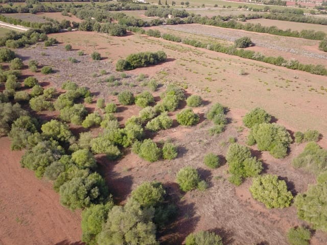 Undeveloped Land for sale in Felanitx - € 170,000 (Ref: 9431640)
