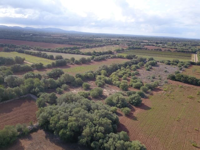 Undeveloped Land for sale in Felanitx - € 170,000 (Ref: 9431640)